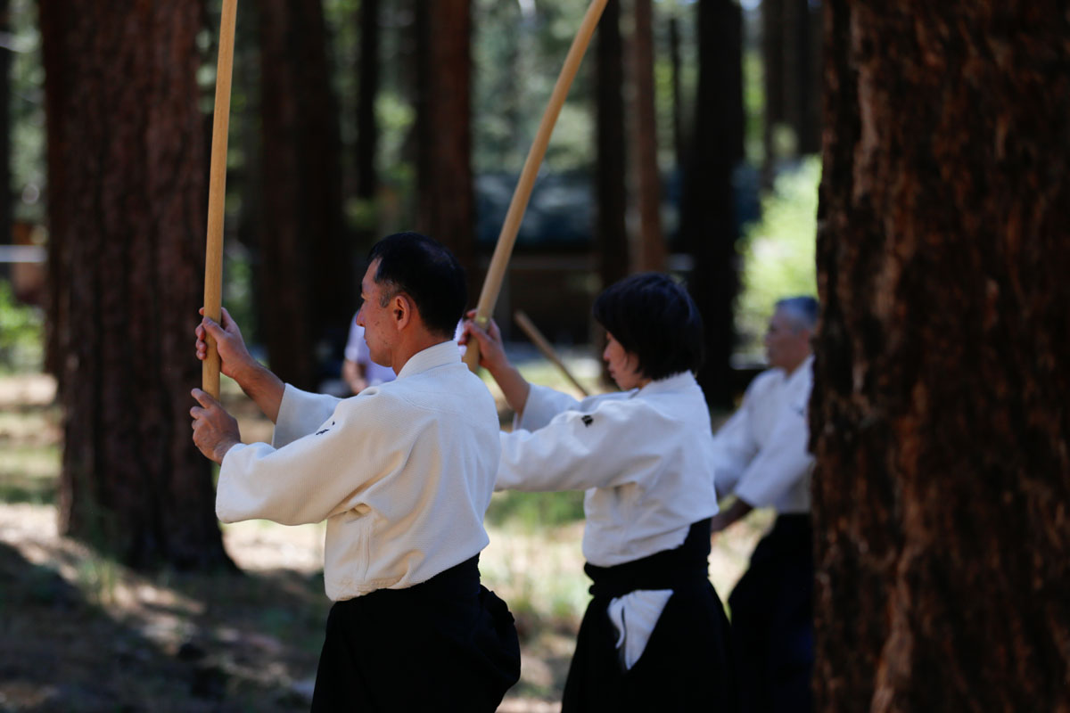 training aikido weapons