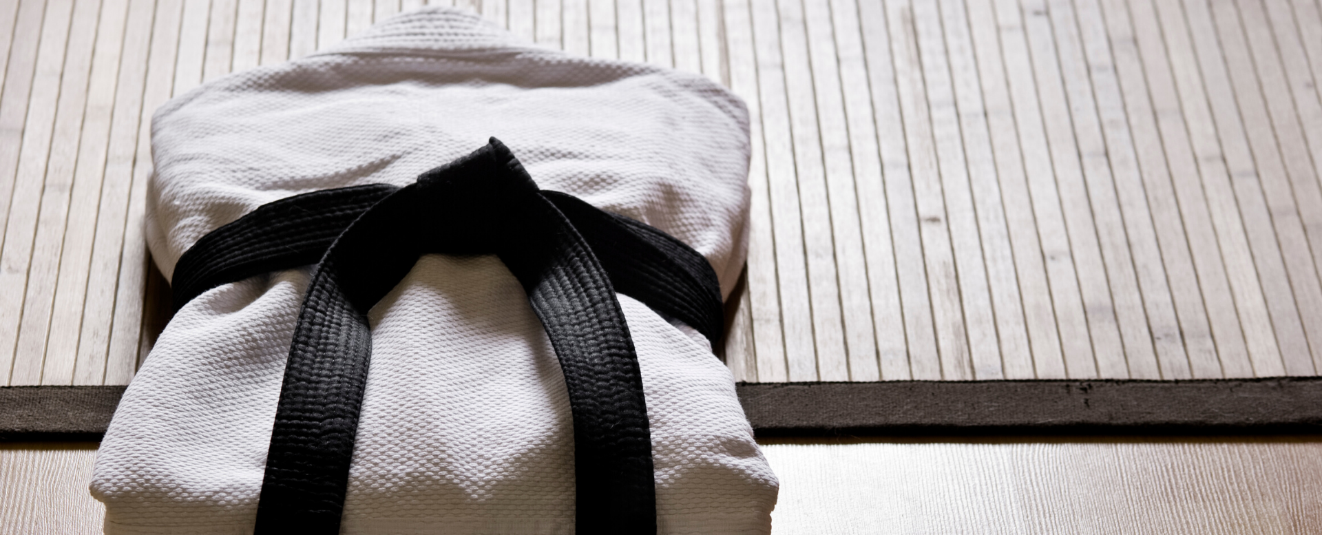 Aikido Shin Do Kan Dojo, Newport Beach Aikikai — 40th Anniversary commemorative T-shirt
