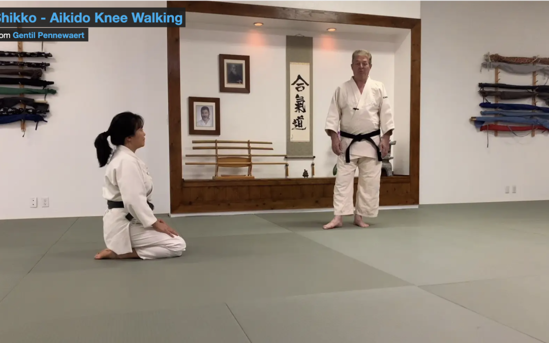 Shikko – Aikido Knee Walking