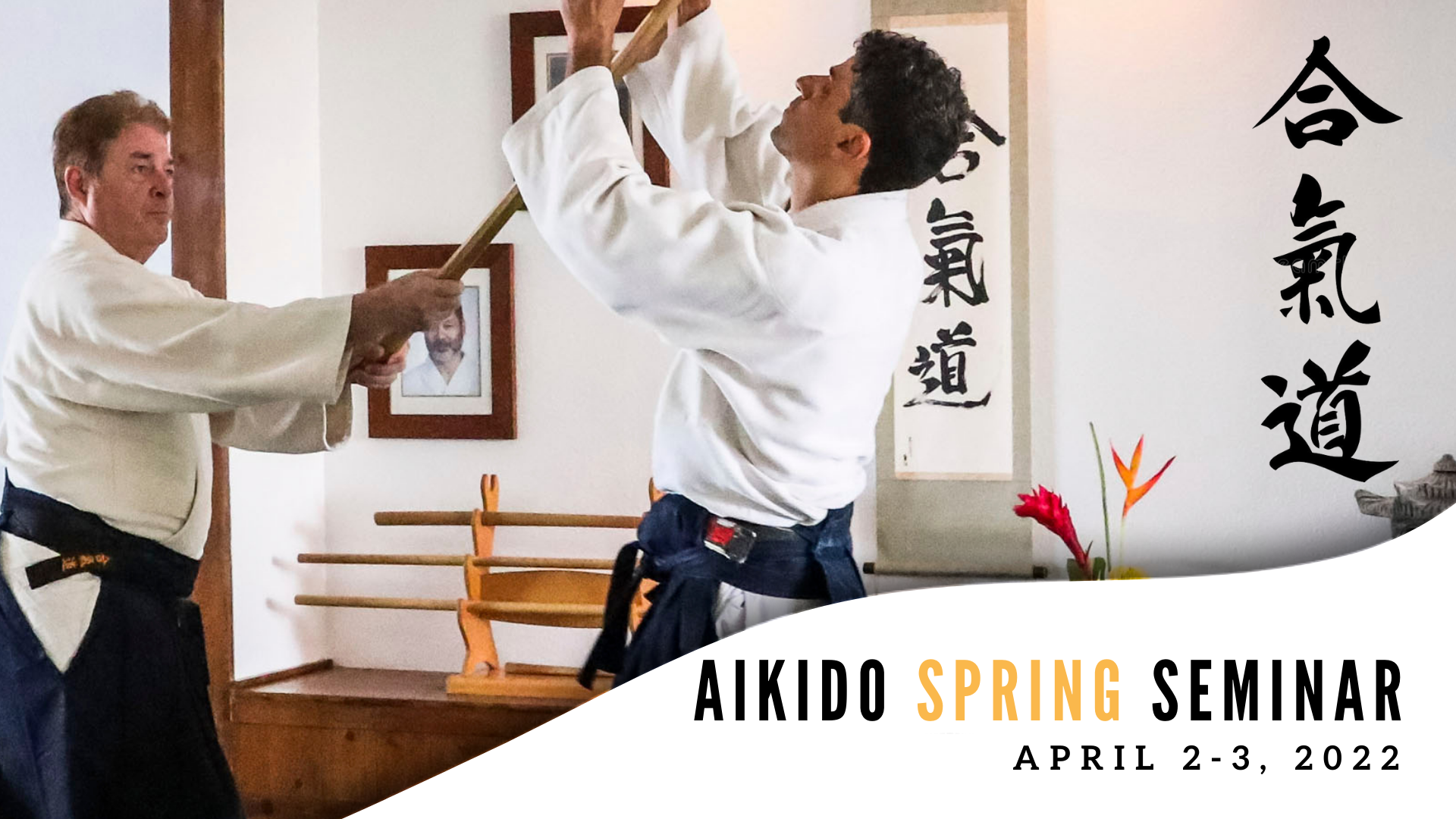 Aikido Spring Seminar 2022 - Newport Beach Aikikai | Aikido of Orange ...