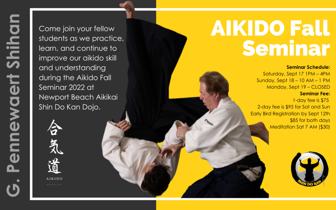 aikido seminar