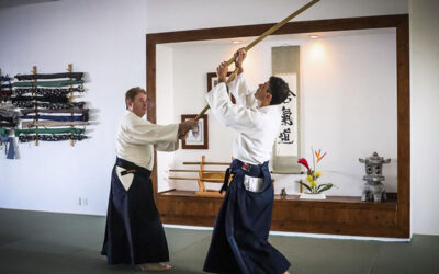 Aikido Spring Seminar
