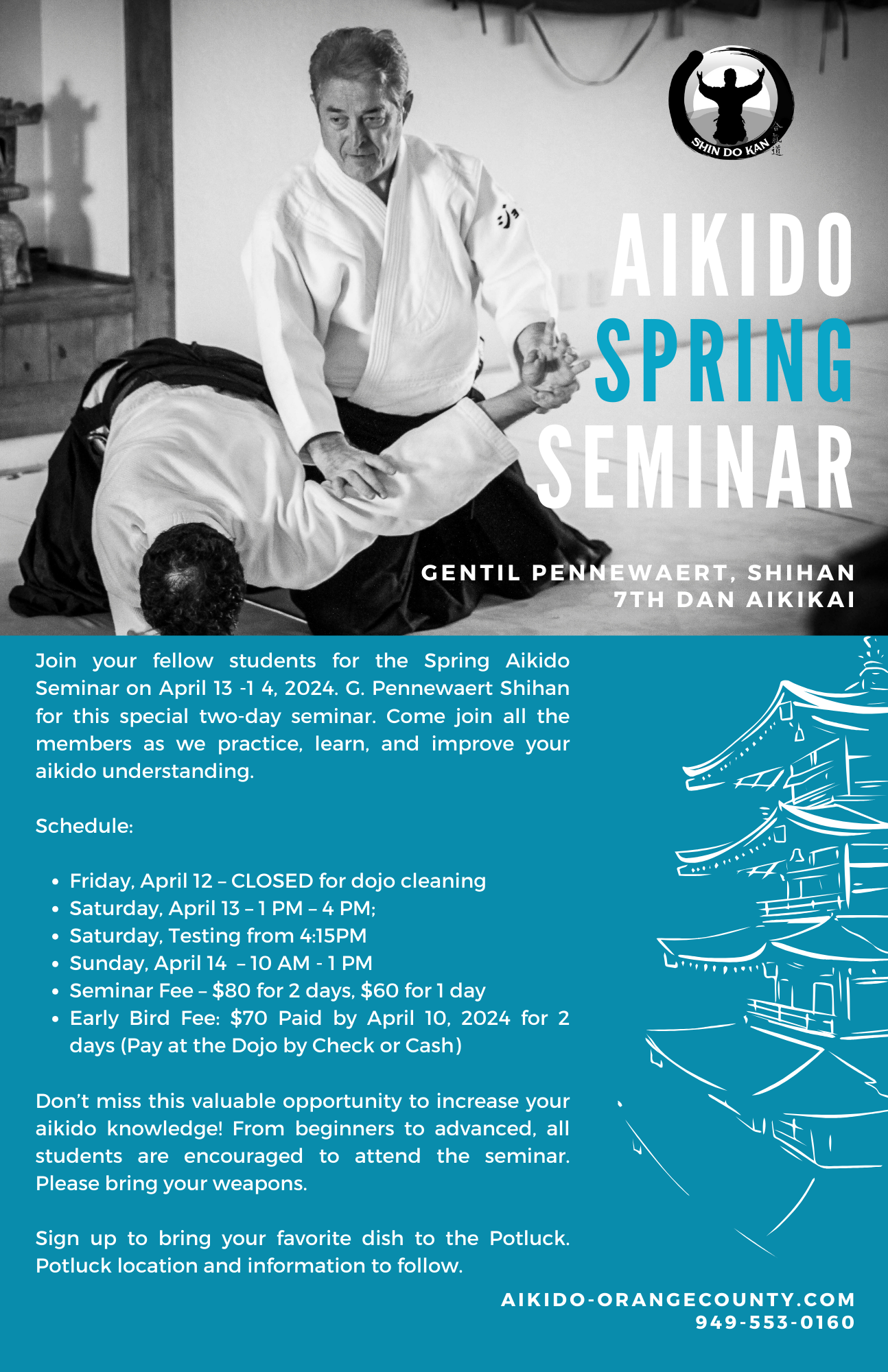 aikido spring seminar