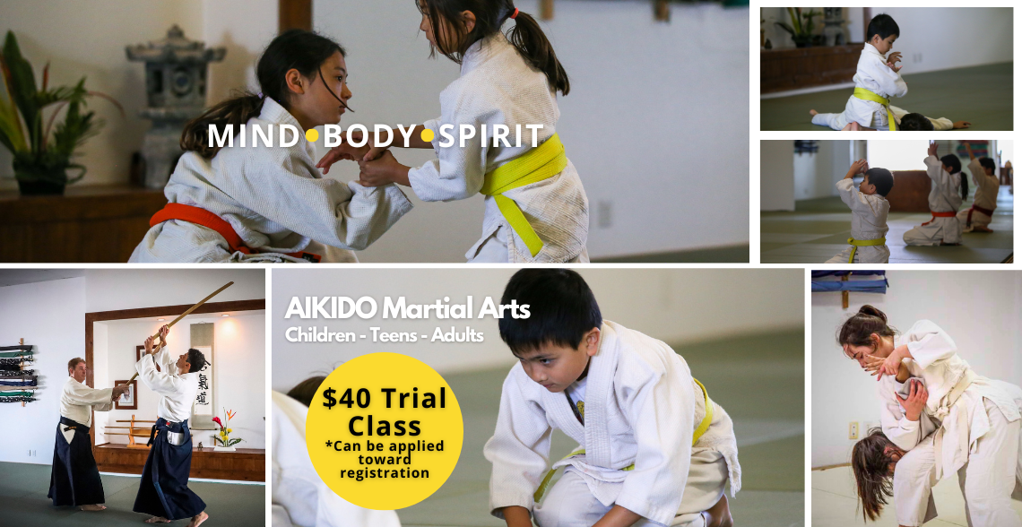 aikido for beginner aikido for beginner